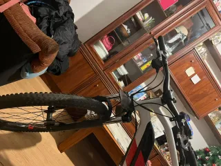 Bicicleta Eléctrica