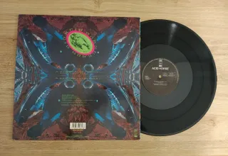Vinilo Acid Horse Experimental