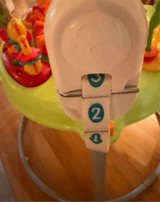 Saltarina Fisher-Price Animales de la Jungla