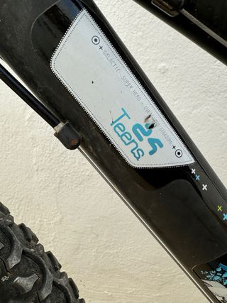 Bicicleta 24 Júniores