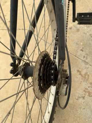 Bicicleta 24 Júniores