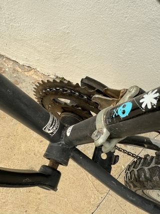 Bicicleta 24 Júniores