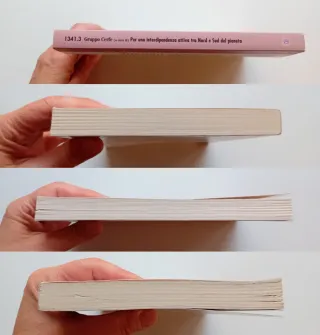 Per una indipendenza attiva tra Nord e Sud del ...