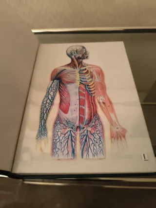 Libro El Libro de la Salud Enciclopedias  familiar