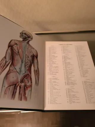 Libro El Libro de la Salud Enciclopedias  familiar