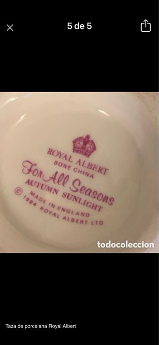 Taza y platillo Royal Albert porcelana
