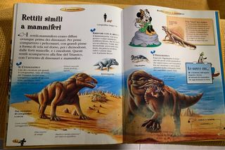 Libro e album operativo sui dinosauri