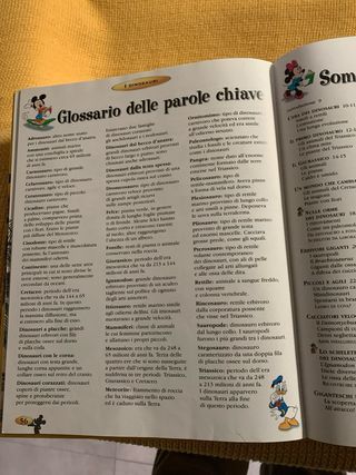 Libro e album operativo sui dinosauri