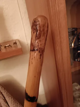 Cachaba de junco de raiz