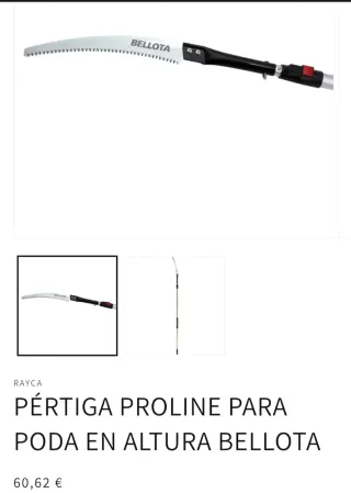 Serrucho pertiga bellota