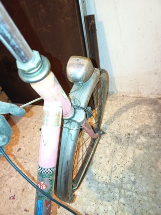 Bicicleta Torrot Paseo Clásica 20