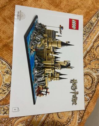 Istruzioni set lego Harry potter 76419