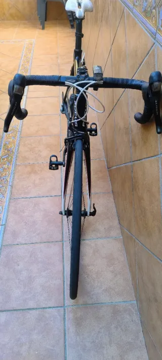 Bicicleta Carretera Carbono FOCUS Cayo