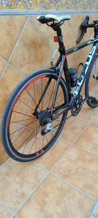 Bicicleta Carretera Carbono FOCUS Cayo