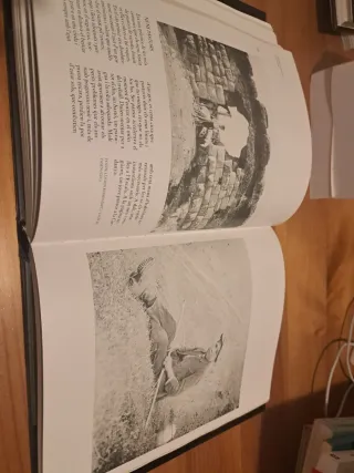 La infantesa a Catalunya