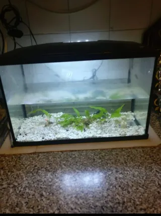 Acuario con luz LED