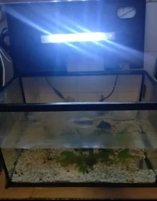Acuario con luz LED
