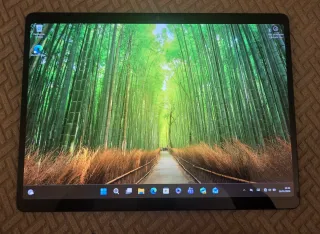 Microsoft Surface Pro 11 Copilot+ PC OLED.