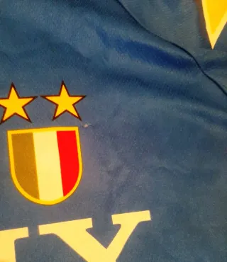 Juventus Sony Champions League official Del Piero