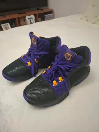 Zapatillas Nike Lebron Witness