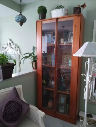 Vitrinas de madera y cristal