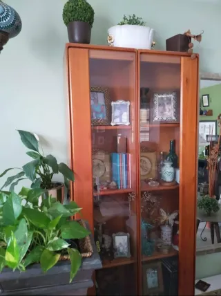 Vitrinas de madera y cristal