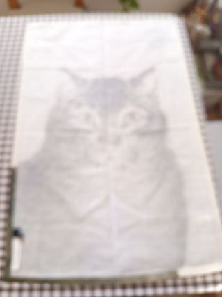 Paño Cocina Museo Metropolitano Gato