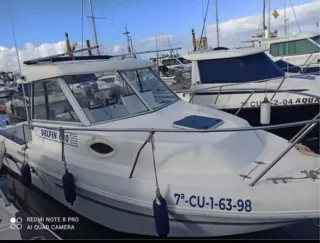 Barco Felco Delfin 680