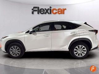 Lexus NX 2.5 300h Executive 4WD