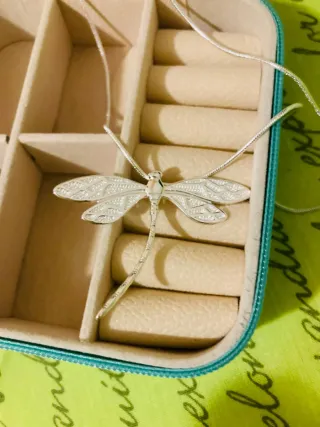 Colgante Libélula Plata y Joyero