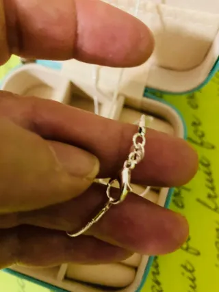 Colgante Corazón Plata y Joyero