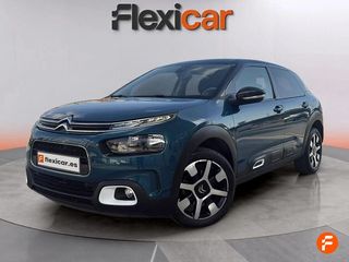 Citroën C4 Cactus PureTech 96kW (130CV) S&S Shine