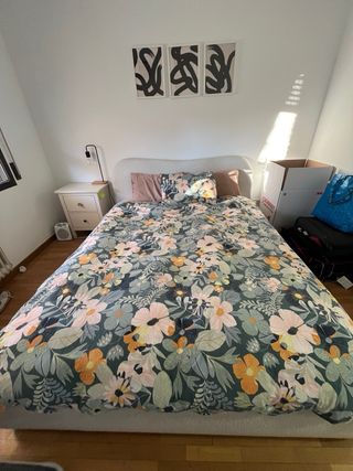 Cama Winselet con canapé abatible (CON COLCHON)