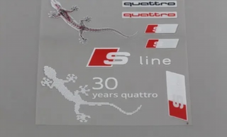 VINILO PEGATINA AUDI S LINE LAGARTIJA