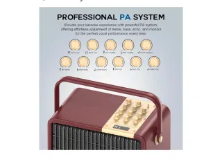 Equipo Karaoke con 2 Micrófonos