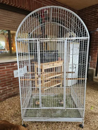 Jaula Grande para Guacamayo