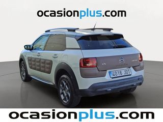 Citroen C4 Cactus BlueHDi 100 Shine 73 kW (100 CV)