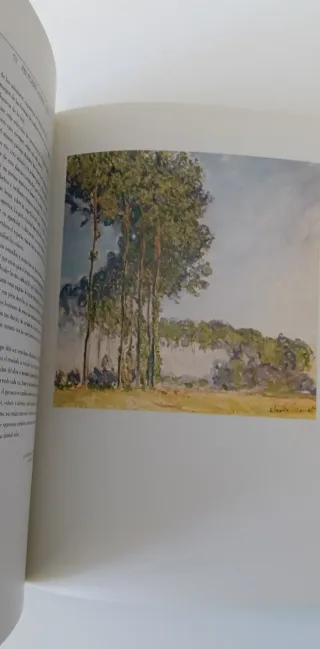 Libro Monet 1840-1926 Museo Español Arte