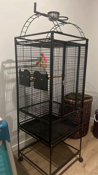 Jaula para loro mediano con accesorios