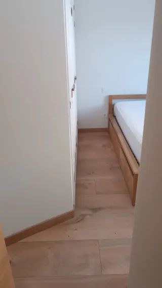 Reforma,Alisado,tarima