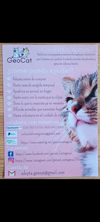 Mochila saco morada GeoCat