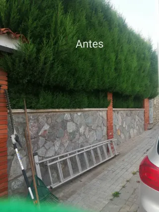 Césped artificial y jardinería