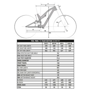 Bicicleta MTB All Mountain Feel 900 S Team Edition Cuadro