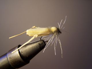 MOSCAS PARA LA PESCA DE BARBOS