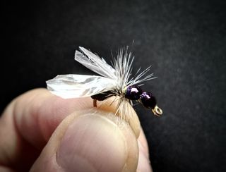 MOSCAS PARA LA PESCA DE BARBOS