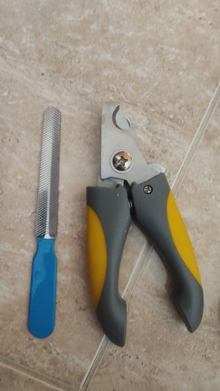 Kit Accesorios Mascotas