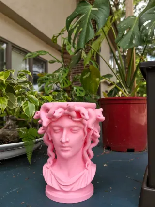 Maceta Medusa Plata
