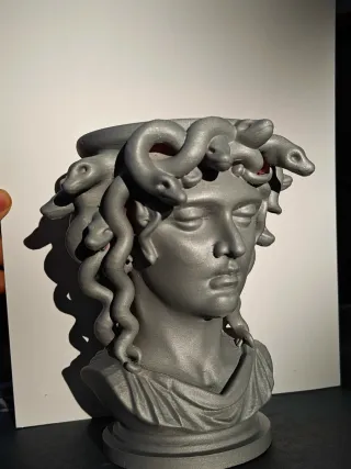 Maceta Medusa Plata