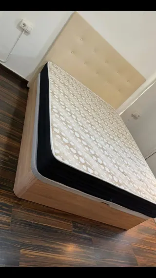 Canape  canape canape canape canape canape canape