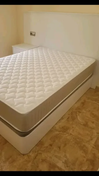 Canape  canape canape canape canape canape canape